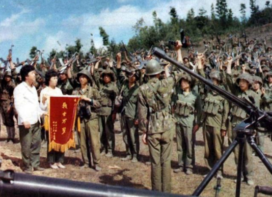 对越自卫反击战中，哪几个国家支持越南？哪些支持我国？
