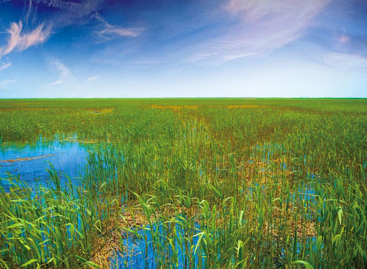 《福建省湿地保护修复制度实施方案》