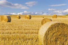 安徽加大政策扶持力度 促进农
